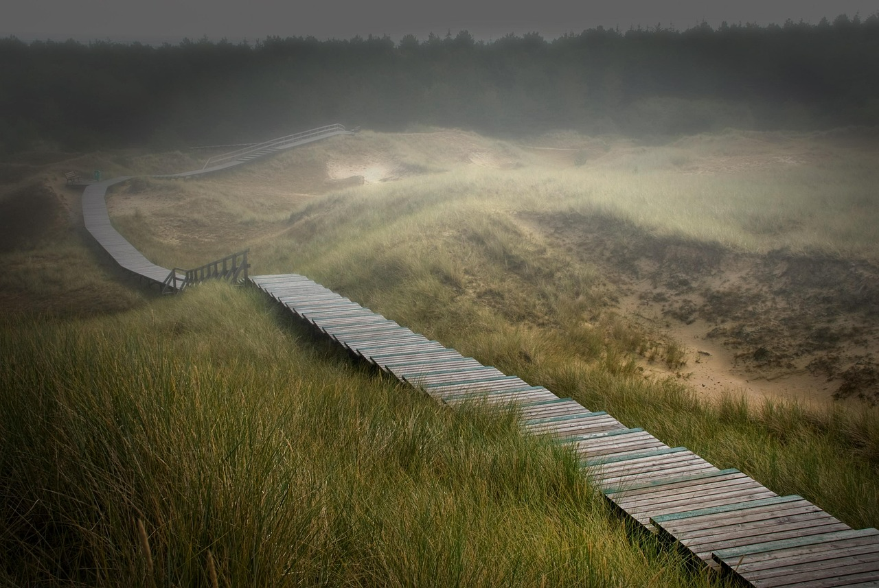 Uitjes in Friesland voor natuur cultuur en ontspanning