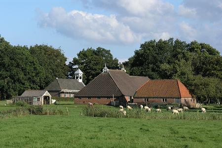 De Hoeve in Friesland als plek om te vertragen en buiten te zijn