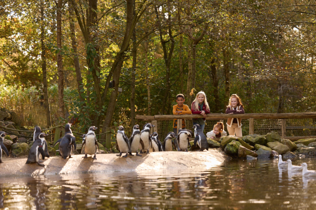 Dagje naar AquaZoo tussen natuur en dieren